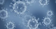 Türkiye'de 3 Haziran günü koronavirüsten ölenlerin sayısı 24 oldu, 867 yeni vaka tespit edildi