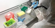 Türkiye'de koronavirüs testi yapmak için yetkilendirilmiş laboratuvarların listesi