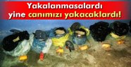 Van'da büyük miktarda patlayıcı bulundu