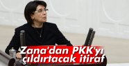 Zana, Valiye 'PKK'yı 20 devlet kullanıyor' demiş