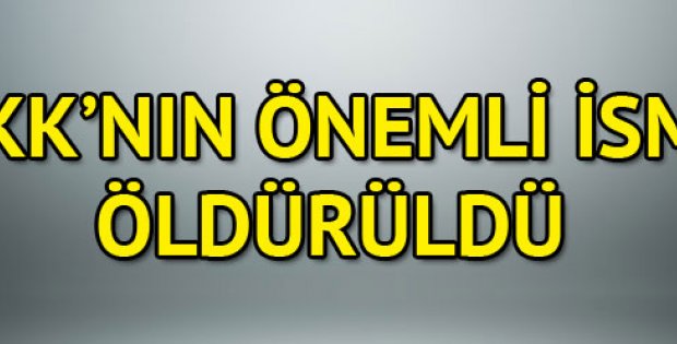 Tunceli'de PKK'nın sözde Dersim sorumlusu öldürüldü!