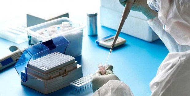 Türkiye'de kaç kişiye koronavirüs testi yapıldı? İşte merak edilen sorunun yanıtı