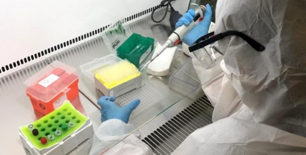 Türkiye'de koronavirüs testi yapmak için yetkilendirilmiş laboratuvarların listesi